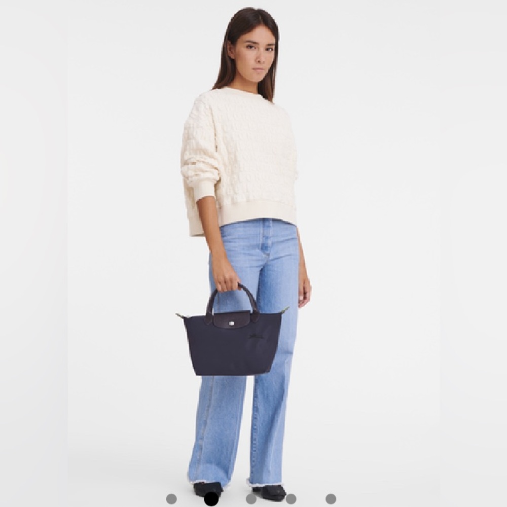 Longchamp Bag